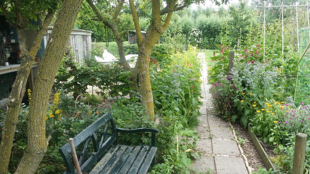 De Kluiskaemer In De Olde Banck Stavoren Zewnętrze zdjęcie